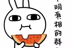 吃瓜系统娱乐圈沙雕动画,吃瓜系统带你笑翻银幕